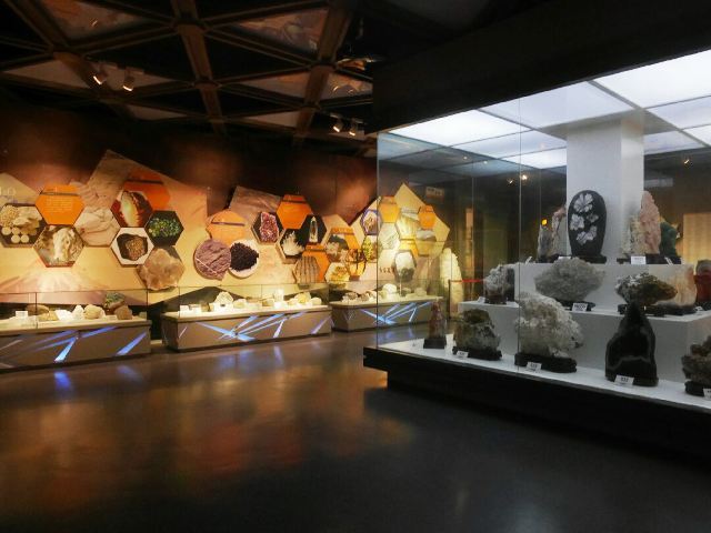 嘉荫神州恐龙博物馆