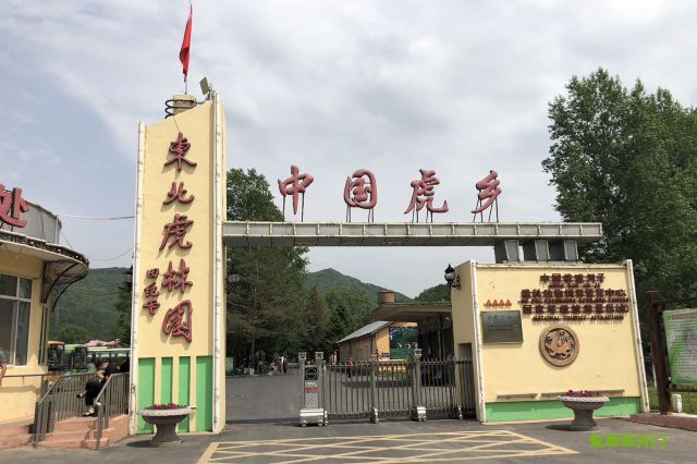 海林横道东北虎林园