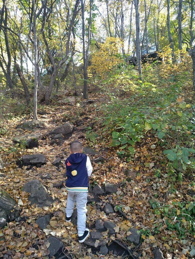 平顶山森林公园