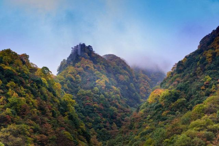 "_光雾山旅游景区"的评论图片