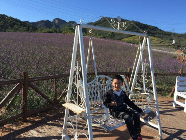 紫云花汐薰衣草庄园