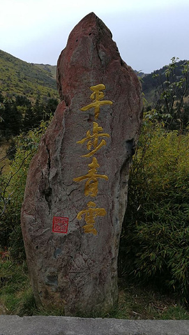 "这里是我国发现野人的地方，游玩的那天山上一直下雪，有的地方雪下的好大，一片云雾缭绕，没法完全看..._神农顶风景区"的评论图片