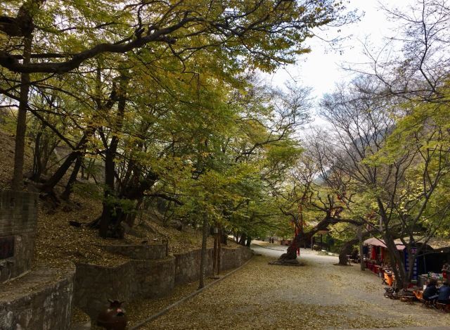 冠世榴园旅游度假区