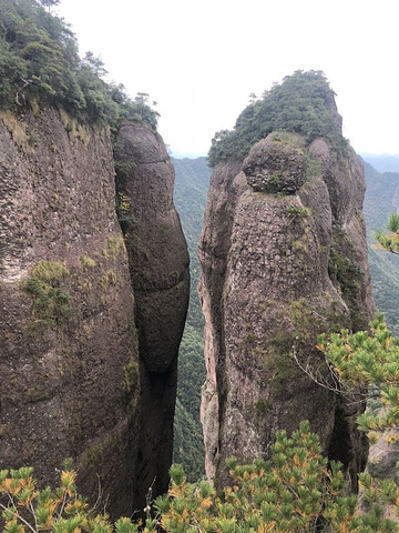 "_神仙居"的评论图片