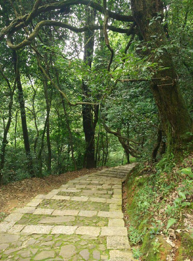 秀山历史文化公园