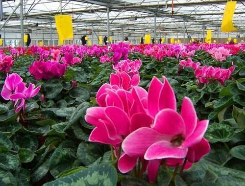 杨凌现代农业示范园区创新园