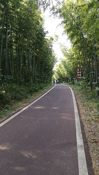 龙池山自行车公园旅游景点攻略图