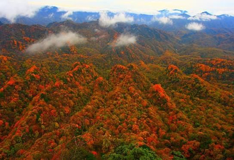 光雾山旅游景区旅游景点攻略图