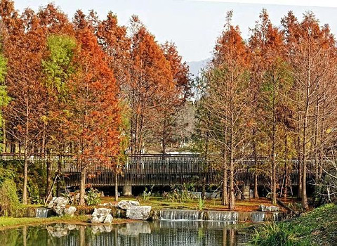 玄武湖公园-情侣园旅游景点攻略图