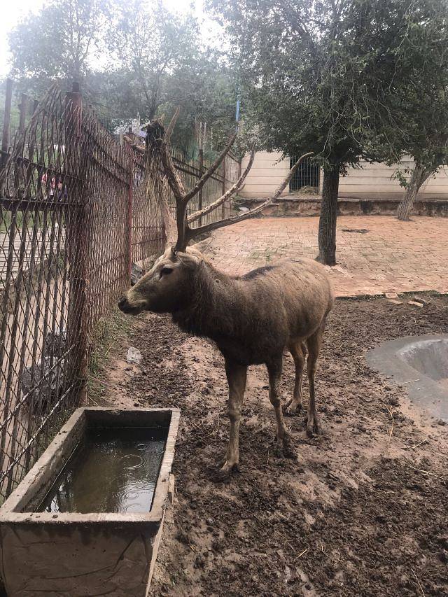 西宁野生动物园