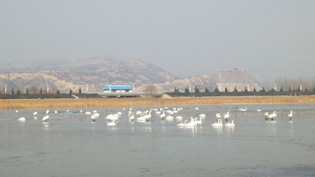 天鹅湖国家城市湿地公园