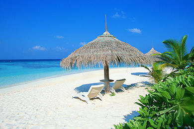 【深圳东冲,钻石沙滩】入住东冲假日客栈,观赏红树成林,鹭鸟起飞的