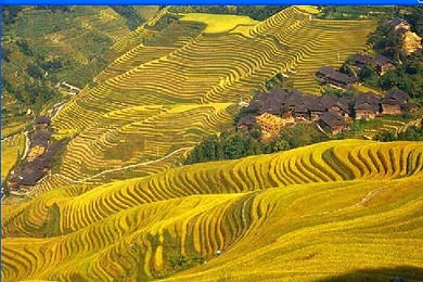 桂林山水甲天下：一场与自然对话的旅行