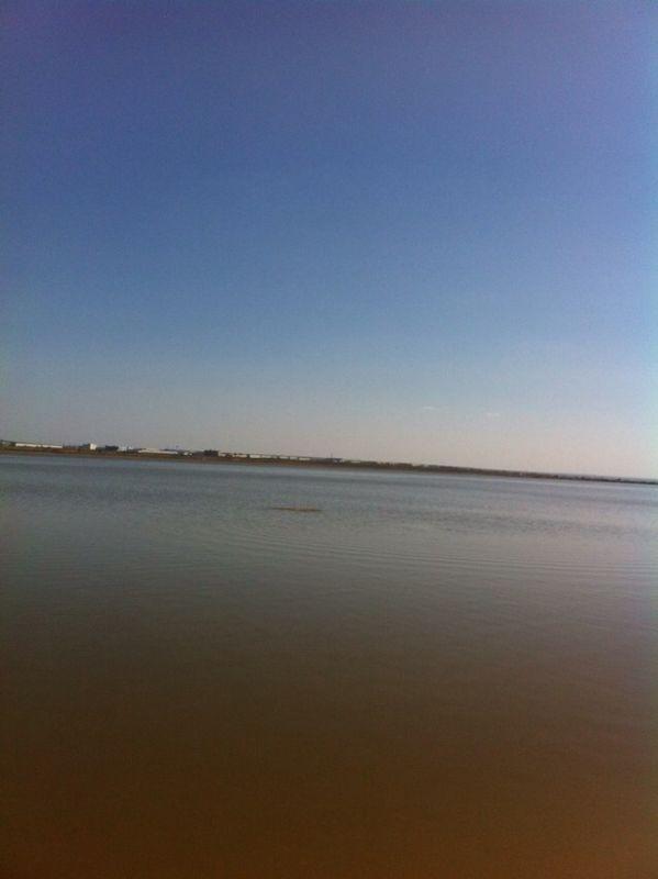 释尼召沙漠绿海