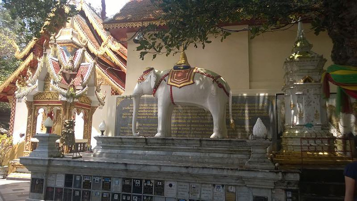 "寺庙的空气好，景色也很好呢！泰国的寺庙实在太多，去了神马寺都不太记得，只记得这个寺庙的名字啊_双龙寺"的评论图片