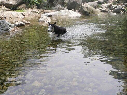 神堂峪自然风景区