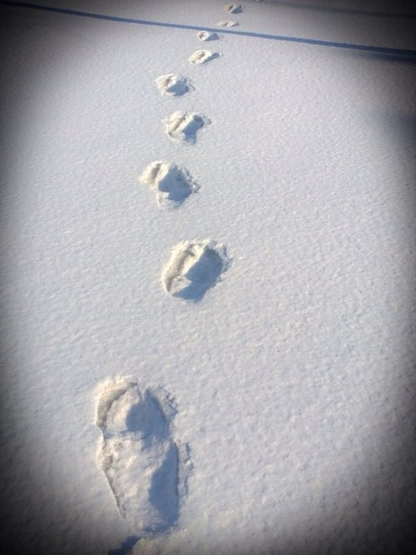 玉泉威虎山森林公园滑雪场