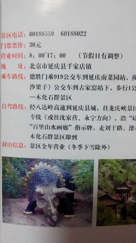 百里山水画廊—硅化木