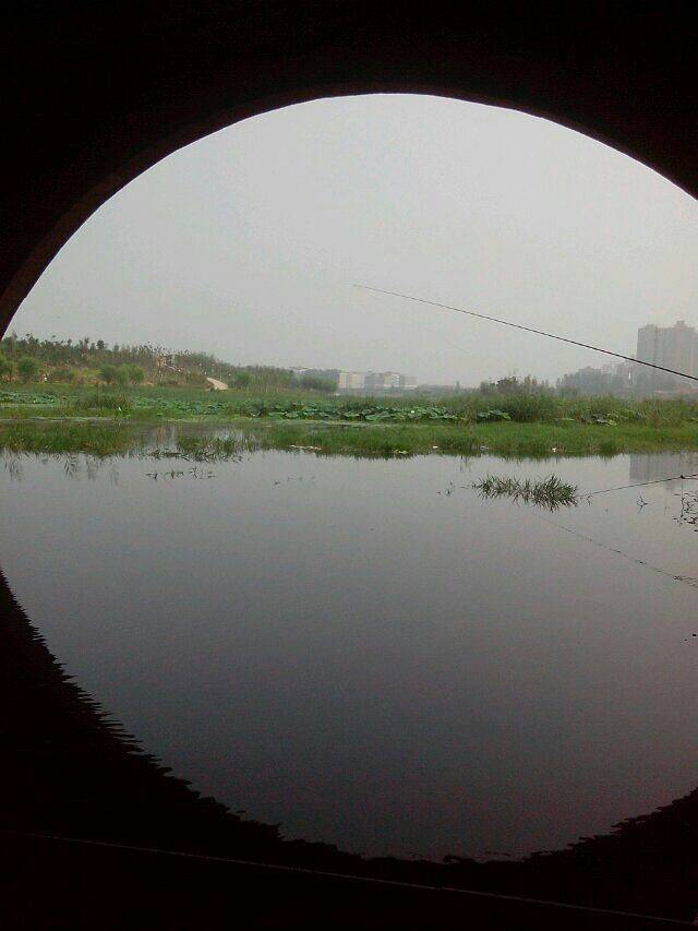 郑东新区湿地公园