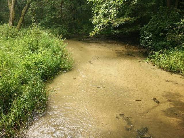 阜新大清沟景区