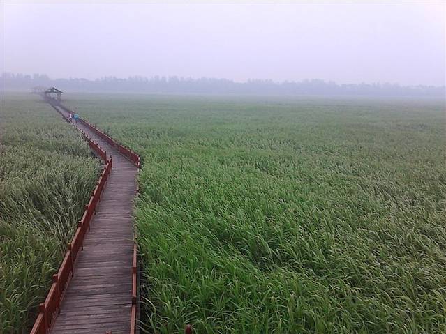 辽河湿地公园