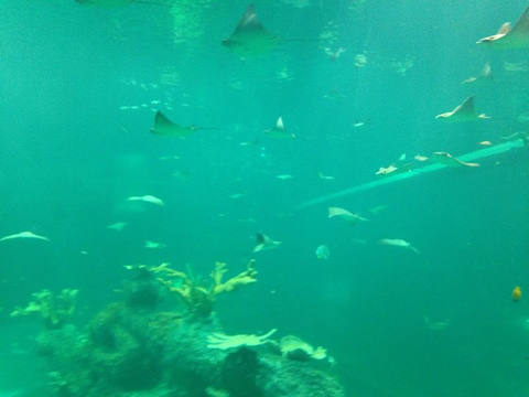 海滨城浩海立方海洋公园旅游景点攻略图