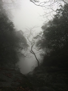 东天目山景区旅游景点攻略图