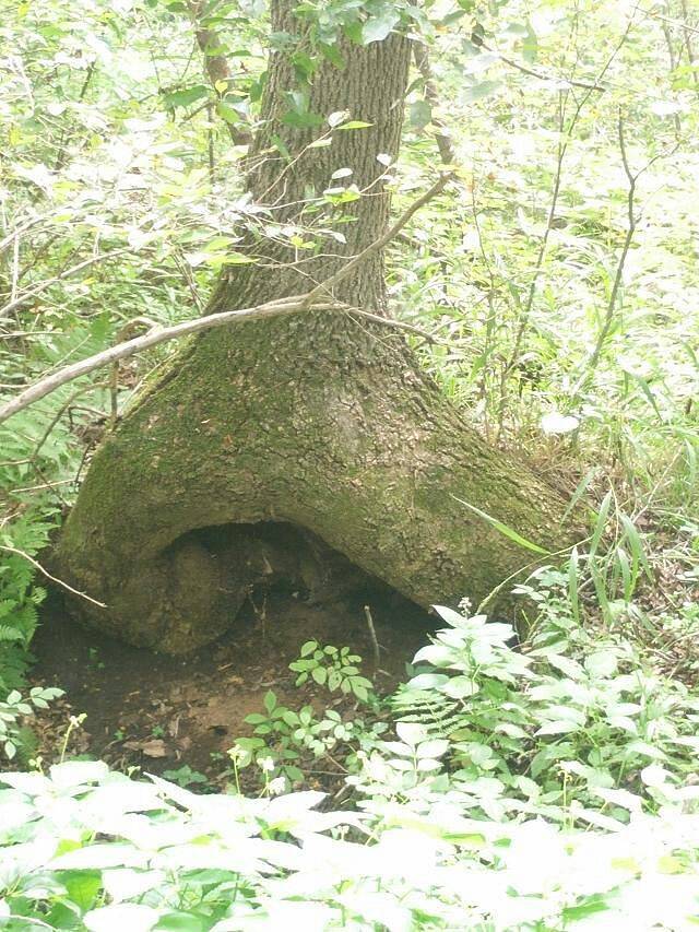 阜新大清沟景区