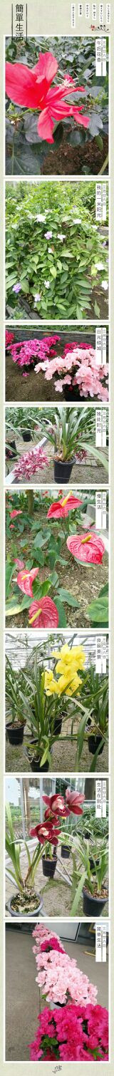 北川维斯特农业示范观光园