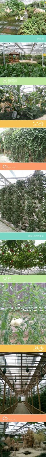 北川维斯特农业示范观光园