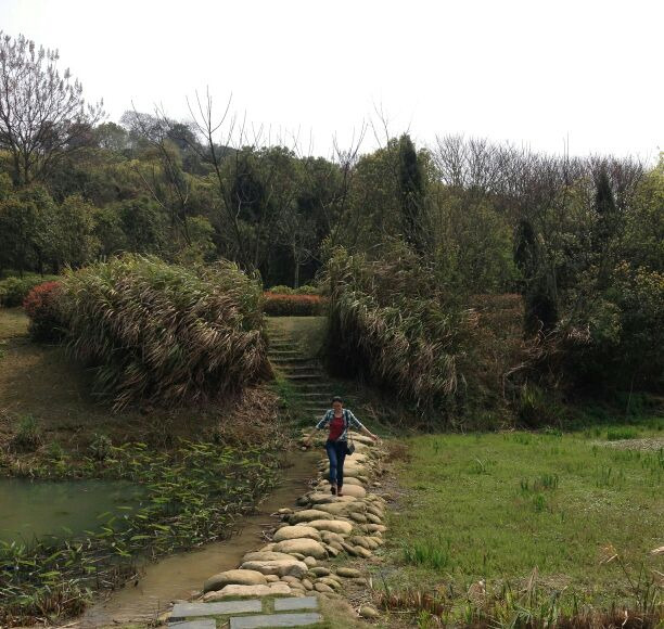 庐陵文化生态园