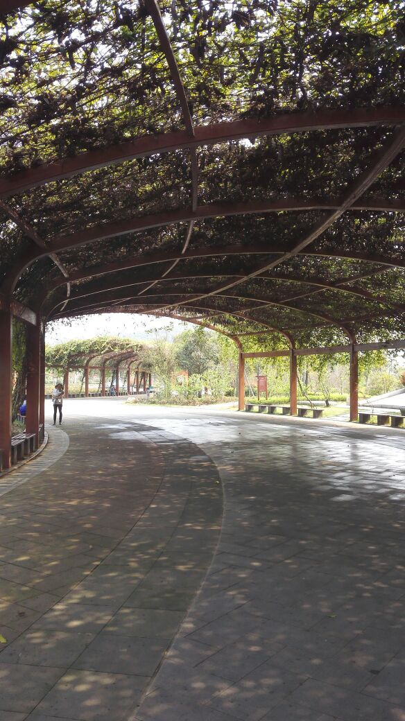 庐陵文化生态园