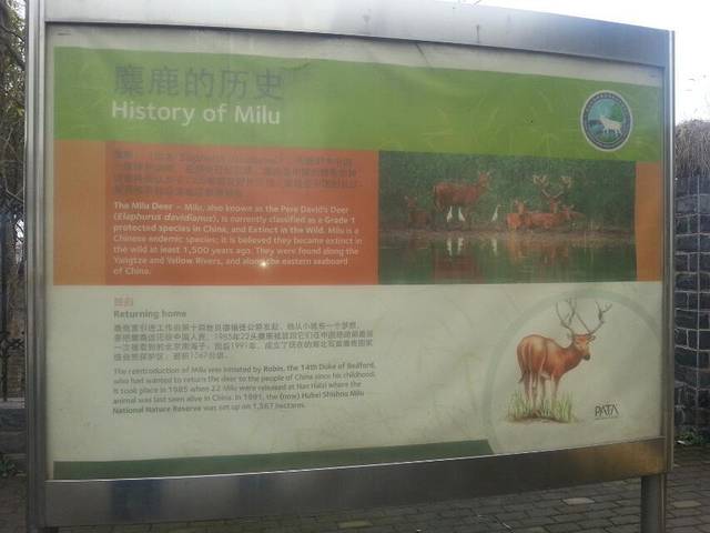 石首糜鹿自然保护区