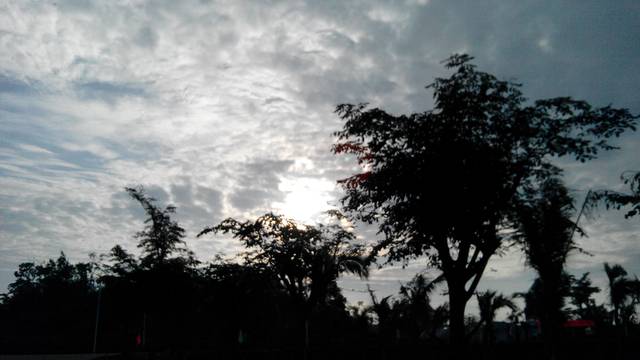 南波湾海洋生态乐园