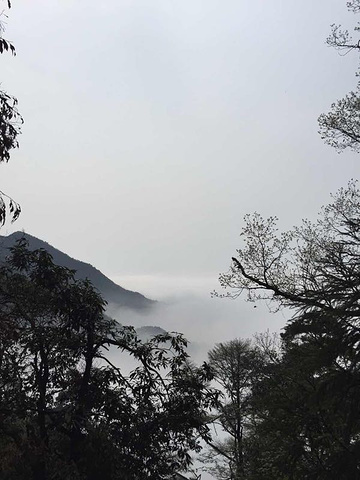 "_东天目山景区"的评论图片