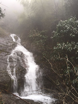 东天目山景区旅游景点攻略图