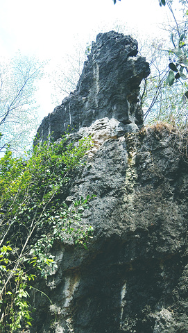 "_黄果树风景名胜区"的评论图片