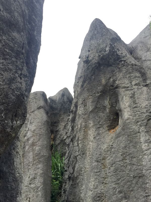 宜都市奥陶纪石林景区