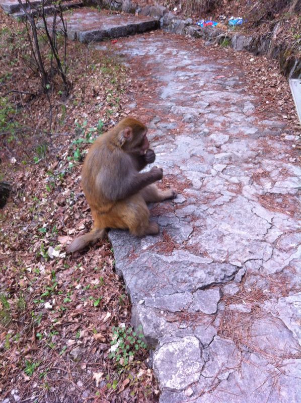 灵空山国家级自然保护区
