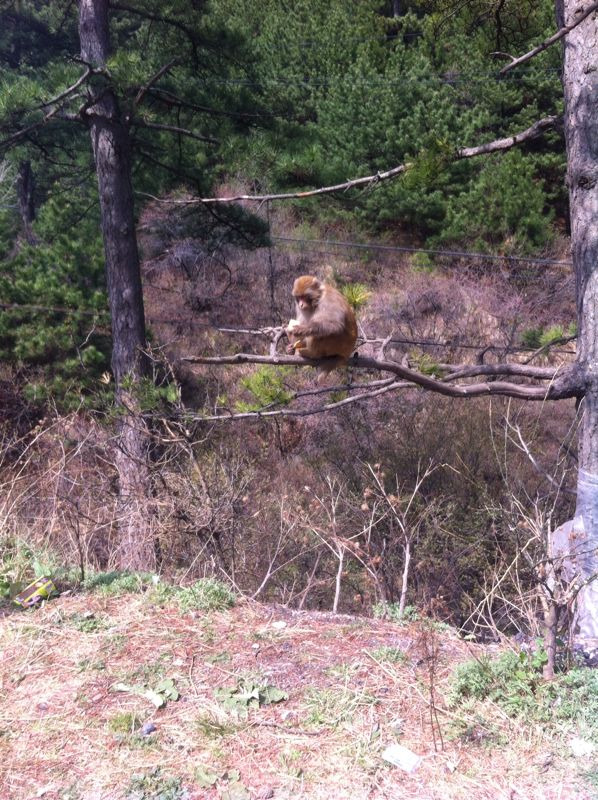 灵空山国家级自然保护区