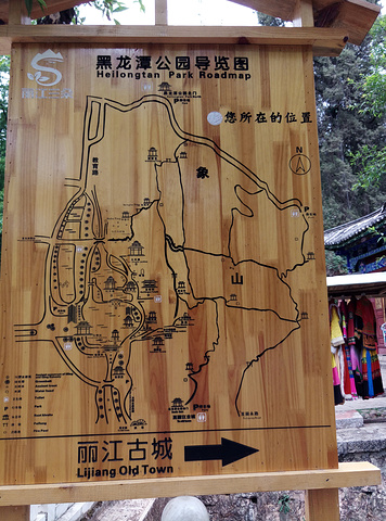 坐车到黑龙潭景区,不大,有个会涌动的潭水,这里是观看拍摄玉龙雪山的