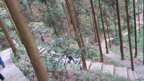 东天目山景区旅游景点攻略图