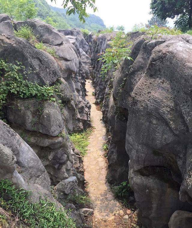 宜都市奥陶纪石林景区