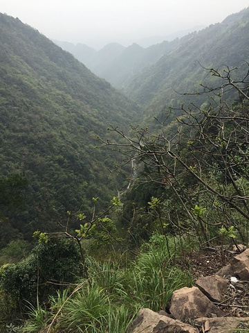 "_东天目山景区"的评论图片