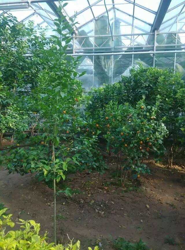 清徐白石沟生态旅游区