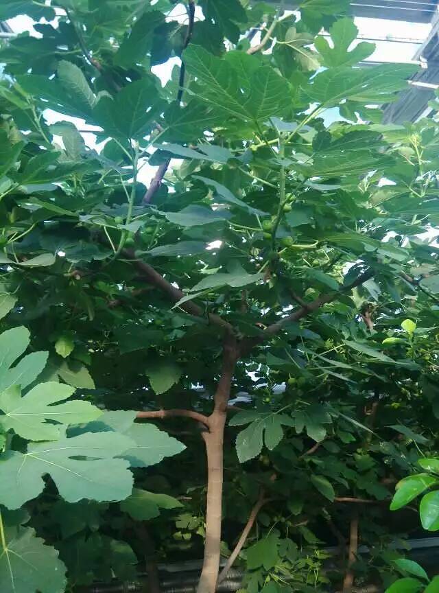 清徐白石沟生态旅游区