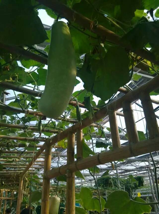 清徐白石沟生态旅游区