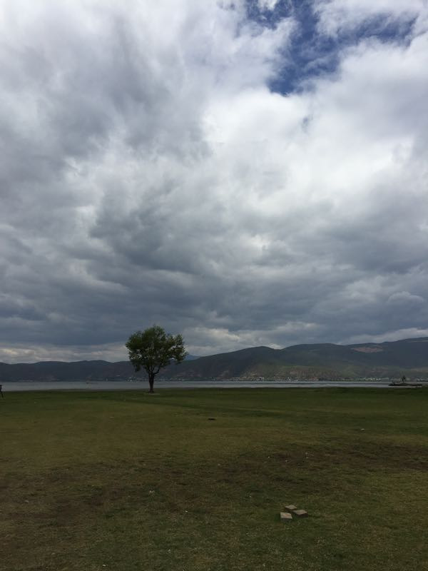 拉市海西湖马场