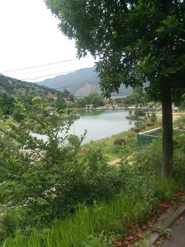 酒埕岩风景区(酒埕岩风景区店)