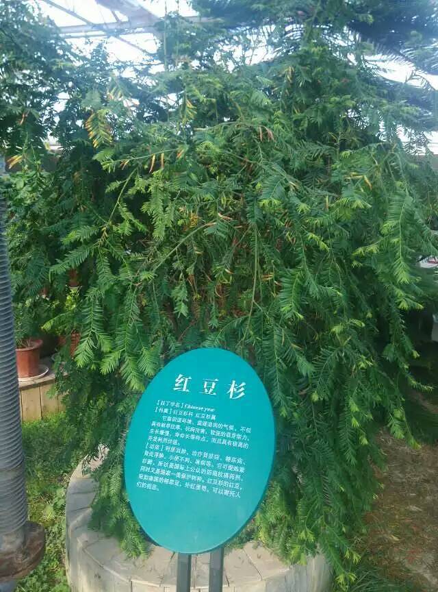 清徐白石沟生态旅游区